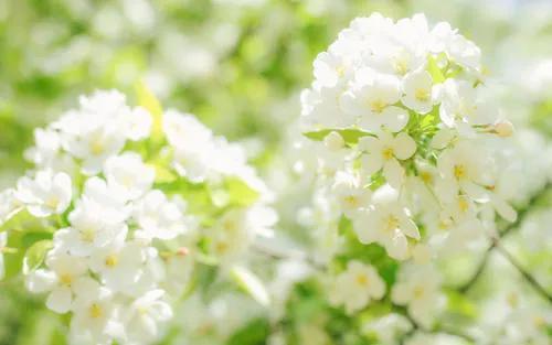 旅行简短文艺句子，关于旅行的文艺语录（旅行出游最文艺的简短说说句子）