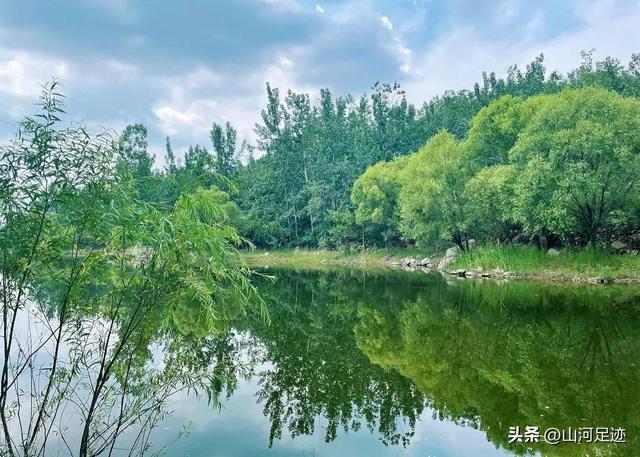 伏见桃山起源，来自日本天皇陵墓的奶茶