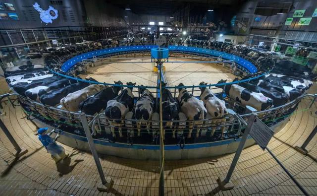 第21届安徽省摄影艺术展入选证书，“安徽·镜像——安徽省摄影作品展”在杭启幕