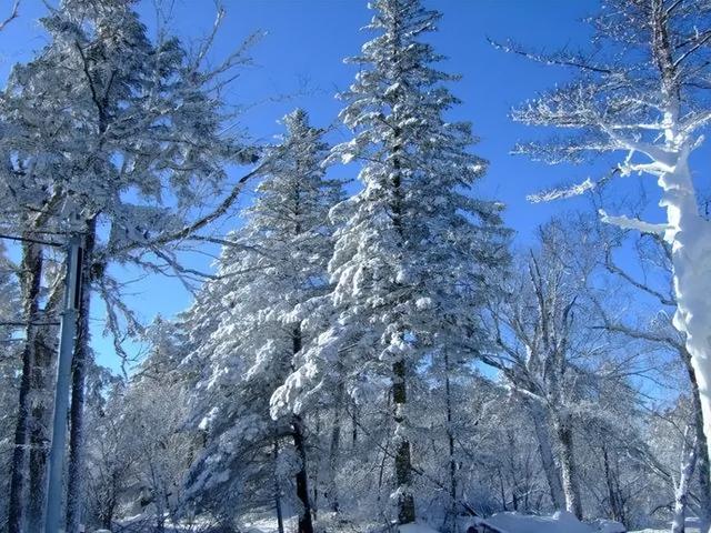 历史上最著名的奇闻异事，读懂“从没变过的人性”