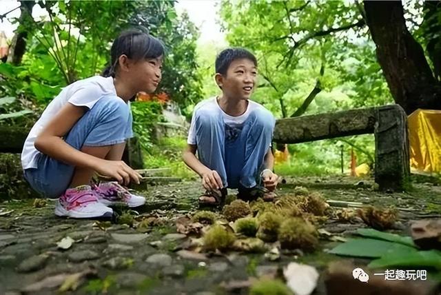 亲子游夏令营值得去的地方，国庆3日亲子营逐梦星空
