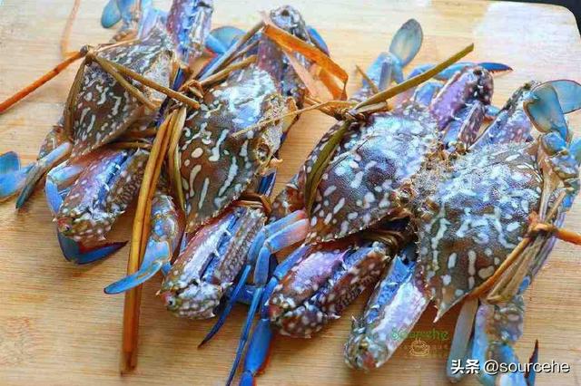 怎样清蒸大闸蟹，清蒸大闸蟹的正确吃法步骤（清蒸大闸蟹怎么做才好吃）