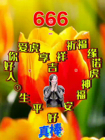 今日首发分享你好，感恩相遇表情包大全