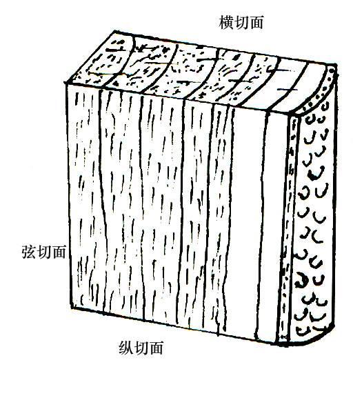 木头开裂怎么修复，保养诀窍很重要，这些须记牢