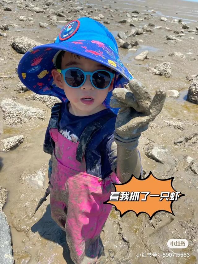 洞头冬天还能不能赶海，天气这么好去洞头赶海啊