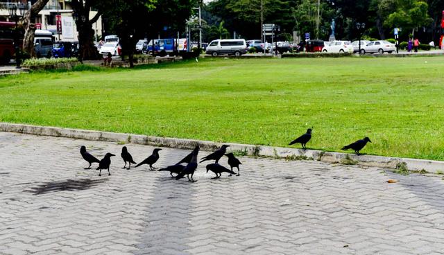 为什么斯里兰卡叫锡兰，近日宣布国家破产的斯里兰卡