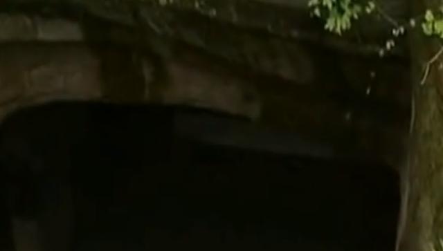 蛇洞，自然密码蛇洞之谜