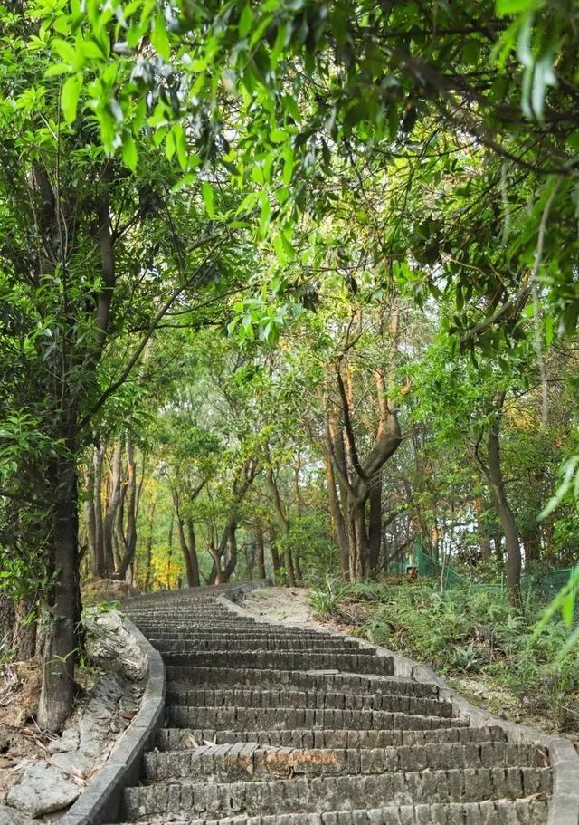 广州绿道田园景点，博罗这些高颜值绿道等你来打卡