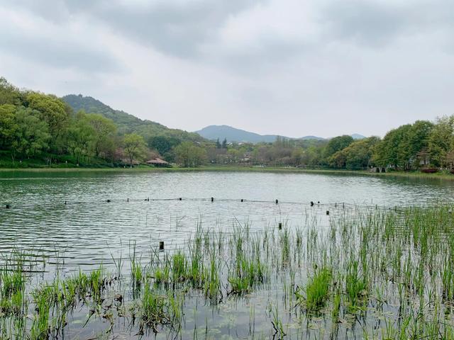 杭州西湖之白堤，“白堤”名出白居易