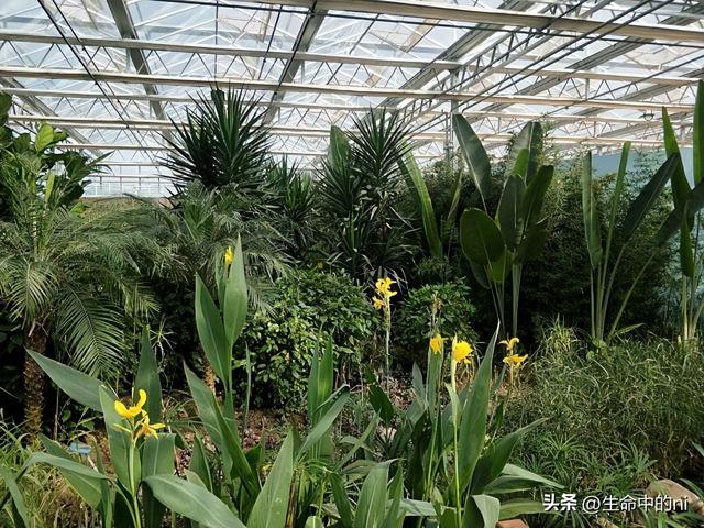 开封必游景区，这八处经典必去的地方