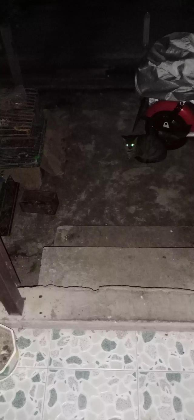捕鼠1000种方法，捕鼠经验交流
