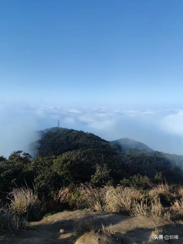 周日打卡鹏城第一峰，从蝴蝶谷-好汉坡步道登顶