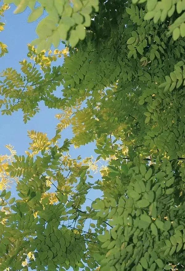 饶雪漫经典语录，饶雪漫最近很火的一段话（超走心的青春文字）