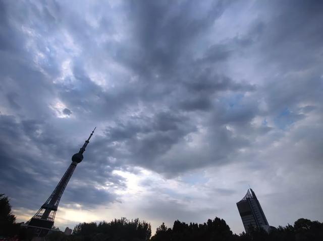 鱼戏湖中月蜂恋陌上花，25句表达“我想你”的诗句