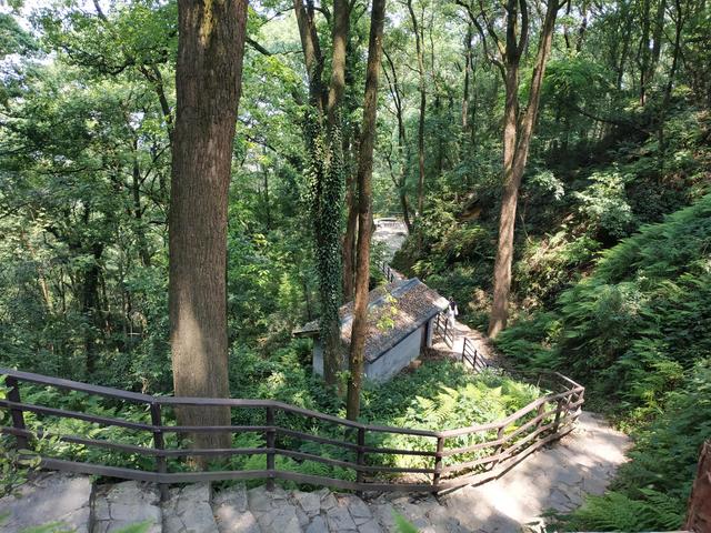 重庆短途摩旅推荐路线，重庆主城摩旅推荐之歌乐山森林公园