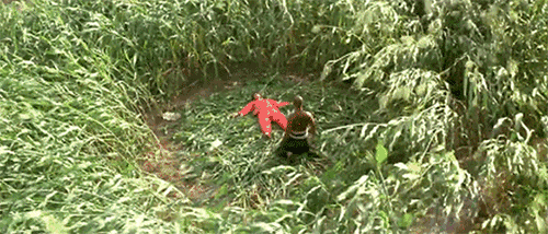 张艺谋的电影风格和特点，作为时代的一块