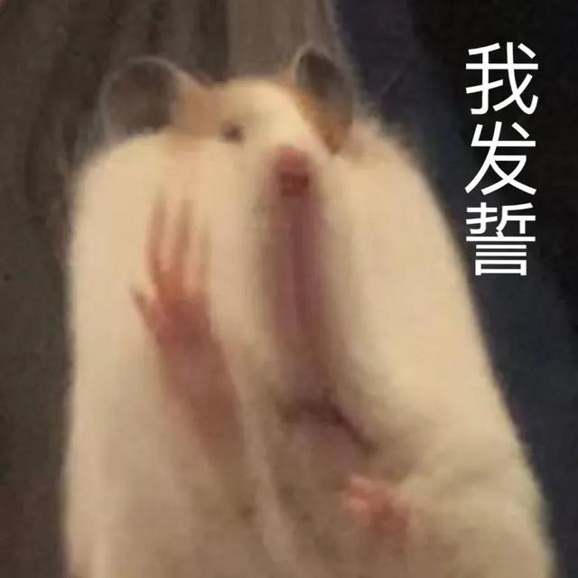 小仓鼠动态迷你表情包，变形脸仓鼠可爱老鼠