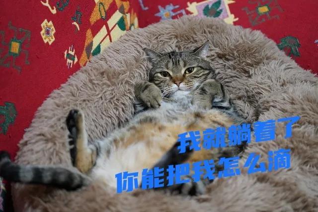 666是什么意思，2021年发红包吉利数字一览表