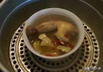 鸽子怎么做好吃，鸽子应该怎么做才好吃（炖鸽子汤需要焯水吗）