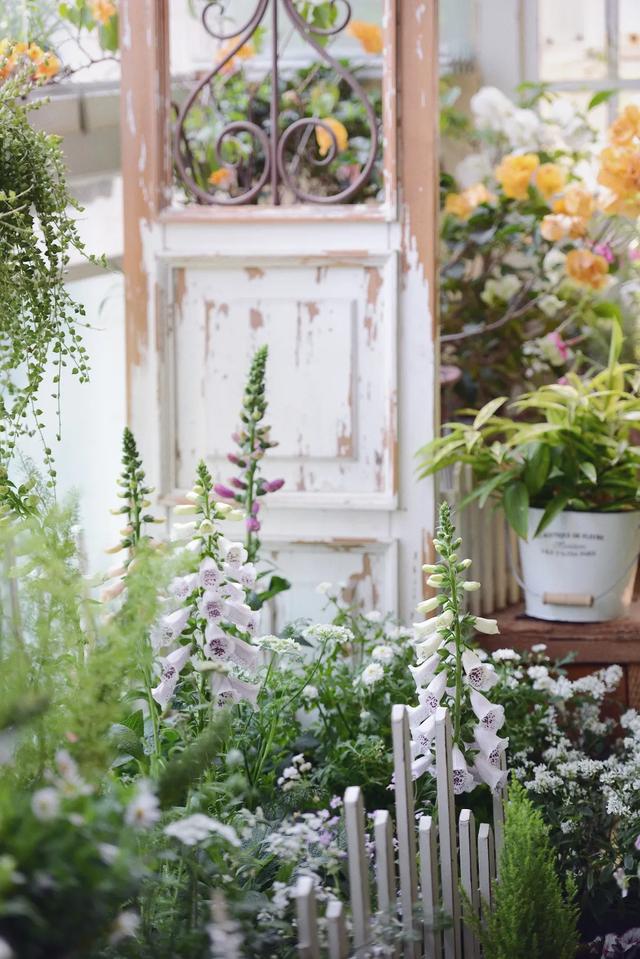 法式花园如何欣赏，海妈花园访问阳台花园满分案例