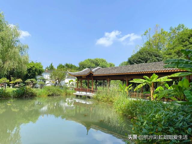 杭州春游适合的地方，风景绝美好玩不贵
