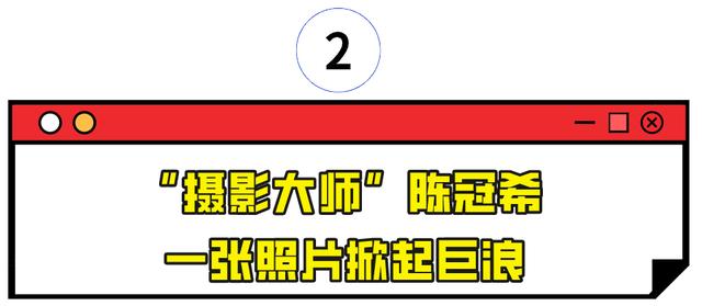 张柏芝个人资料，张柏芝个人资料简历档案（清纯玉女张柏芝的“人设崩塌记”）