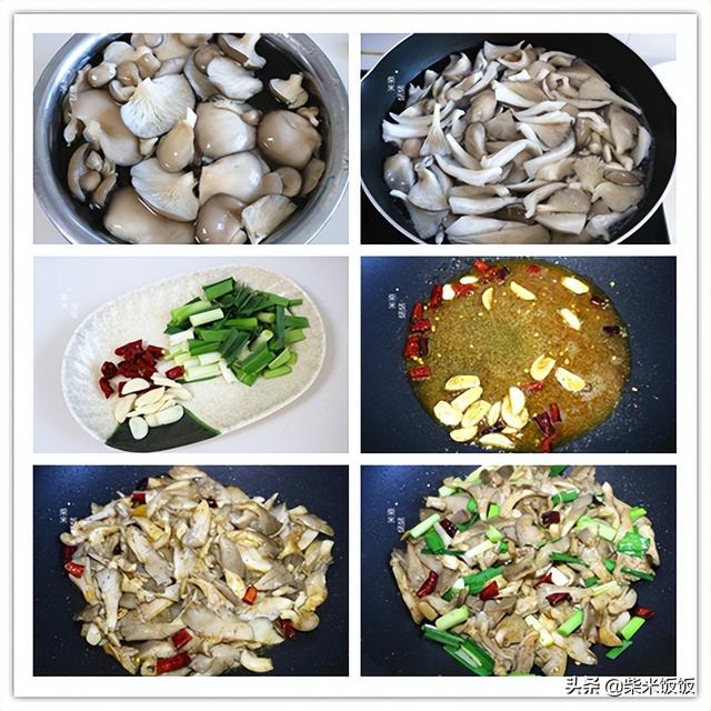 什么饭简单又好做，家常菜100道开胃下饭简单快捷（12道懒人焖饭）