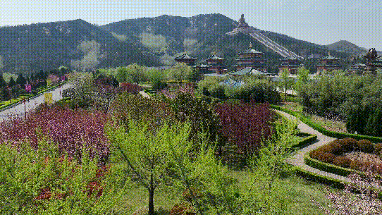 南山旅游攻略必去景点，南山旅游景区花开正好时