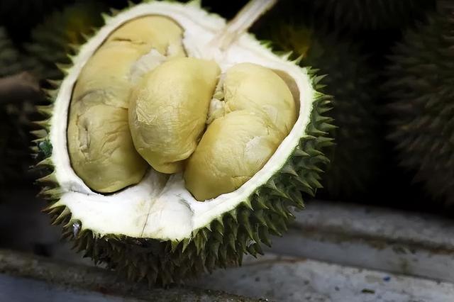 懂一只榴莲背后的故事，洪小鱼一颗榴莲的前世今生