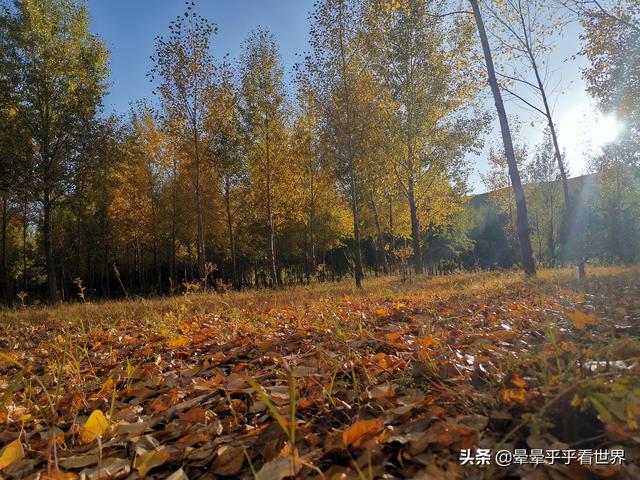 朱棣死在榆木川，朱棣驾崩处——榆木川