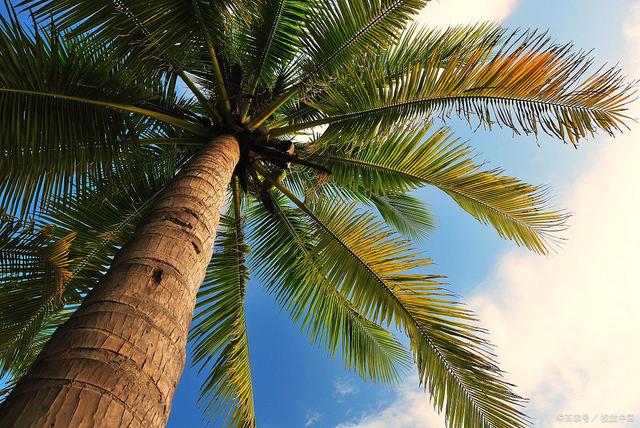 海南一日游槟榔谷导游推荐套餐，本地人从来不去的“槟榔谷”值得一游吗