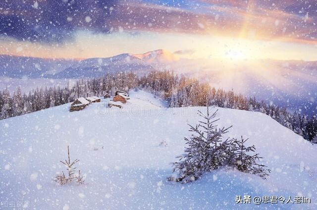 表达真挚友情的古诗，表达友情的经典诗句古诗大全