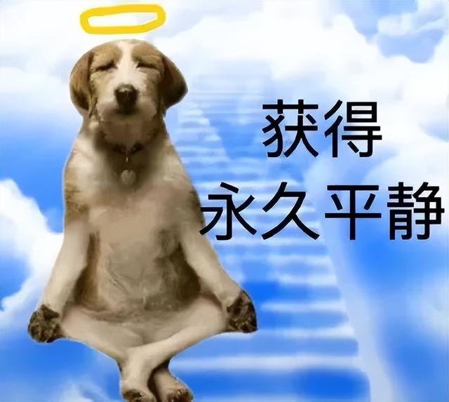 特别困的表情包抖音，表情，为什么你每天这么困