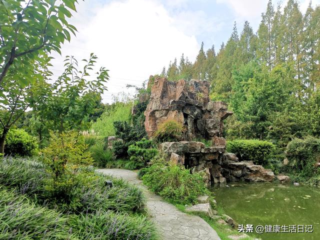 上海最值得徒步的路线，徒步上海普陀区甘泉公园