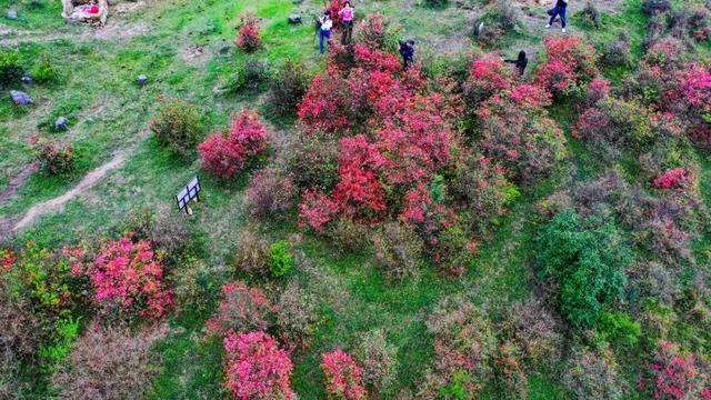 云浮天露山风景区好玩吗，广州出发自驾2h