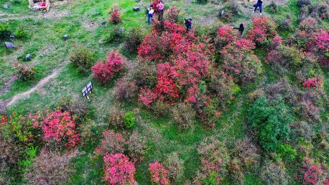 云浮天露山风景区好玩吗，广州出发自驾2h