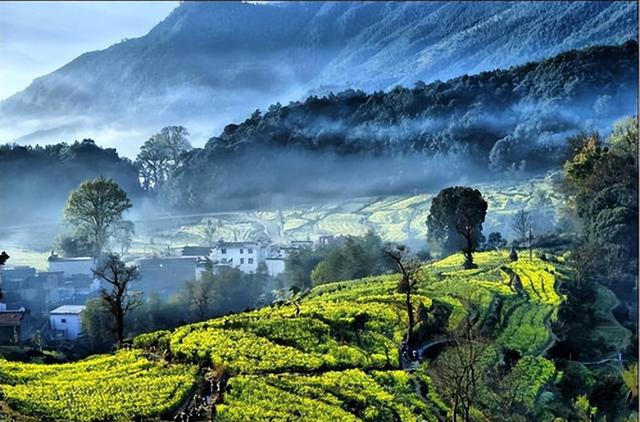 11月份江西婺源旅游攻略，相约江西行人间最美四月天