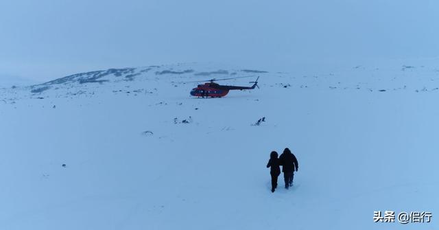 侣行夫妇的记录，中国最牛夫妻：北极求婚