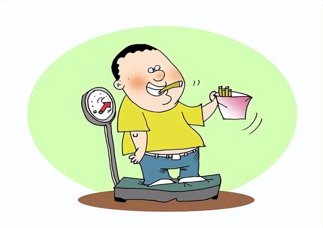 身体肥胖顺序(身体肥胖程度怎么算)
