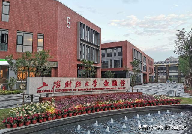 上海的财经学院排名，2023上海市大学排名