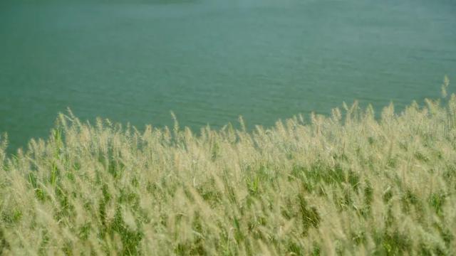 广州绿道田园景点，博罗这些高颜值绿道等你来打卡