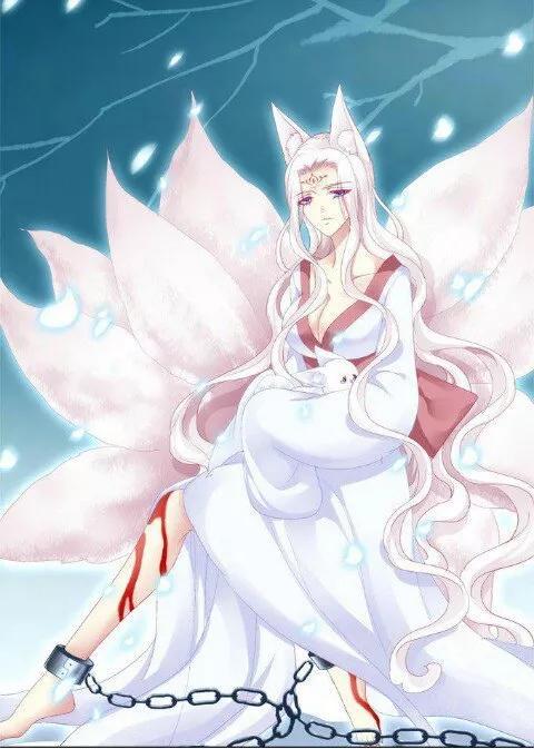 传说中九大灵猫，九尾猫得道成仙启迪