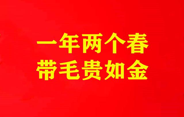 一年有2个立春好吗，老话说：“一年两个春