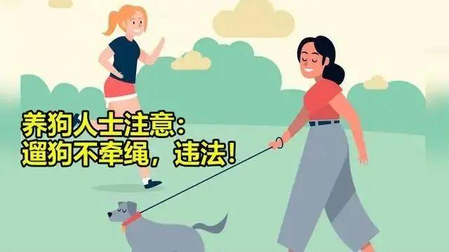 如果您决定养犬，新养犬条例