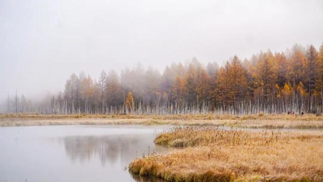 十大绝美秋天美景，看你家的秋天是什么颜色