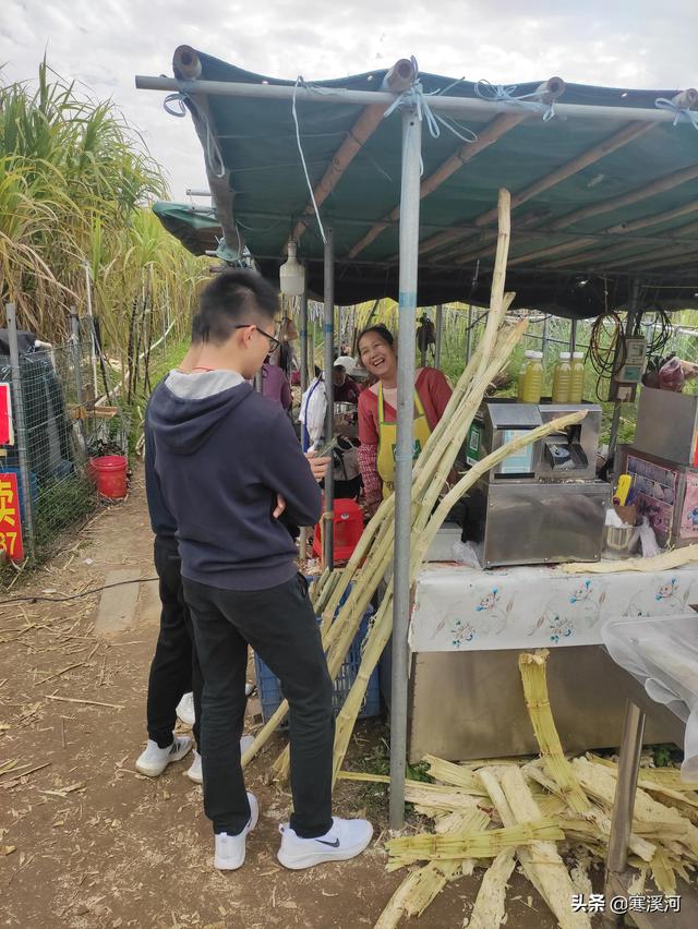 鲤子湖游记，嬉子湖半日游