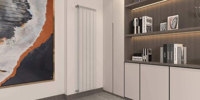 暖气片价格图片及价格，暖气片十大排名及价位（2023钢制暖气片价格是多少）