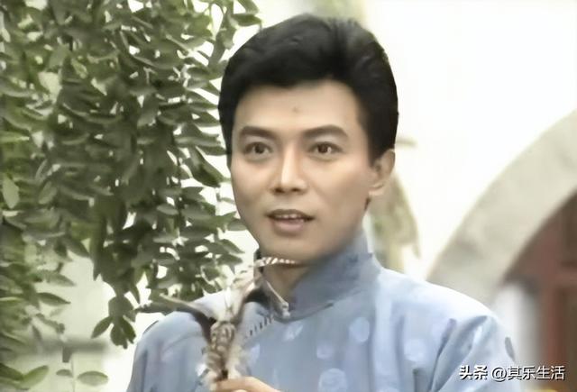 雍正年羹尧武打，雍正小蝶年羹尧播出24年