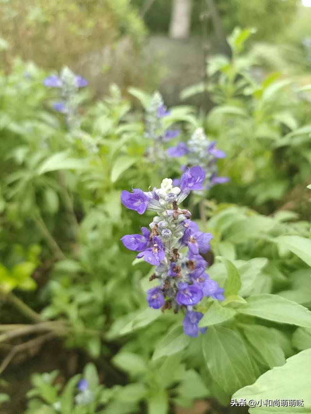 财神进家里是什么预兆，财神进门的征兆（别忘了“1送2供3不4抢5路”）