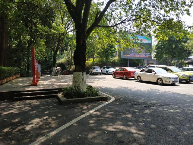 重庆短途摩旅推荐路线，重庆主城摩旅推荐之歌乐山森林公园